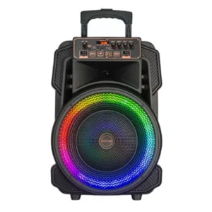 KOLAV RECHARGEABLE KARAOKE SPEAKER 30W J2155