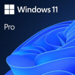 MICROSOFT WINDOWS 11 PROFESSIONAL