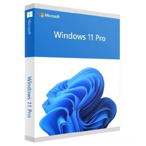 WINDOWS 11 PRO